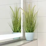 Residenz Waterkant Apartamento *